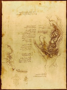 Coition of a Hemisected Man and Woman by Leonardo da Vinci